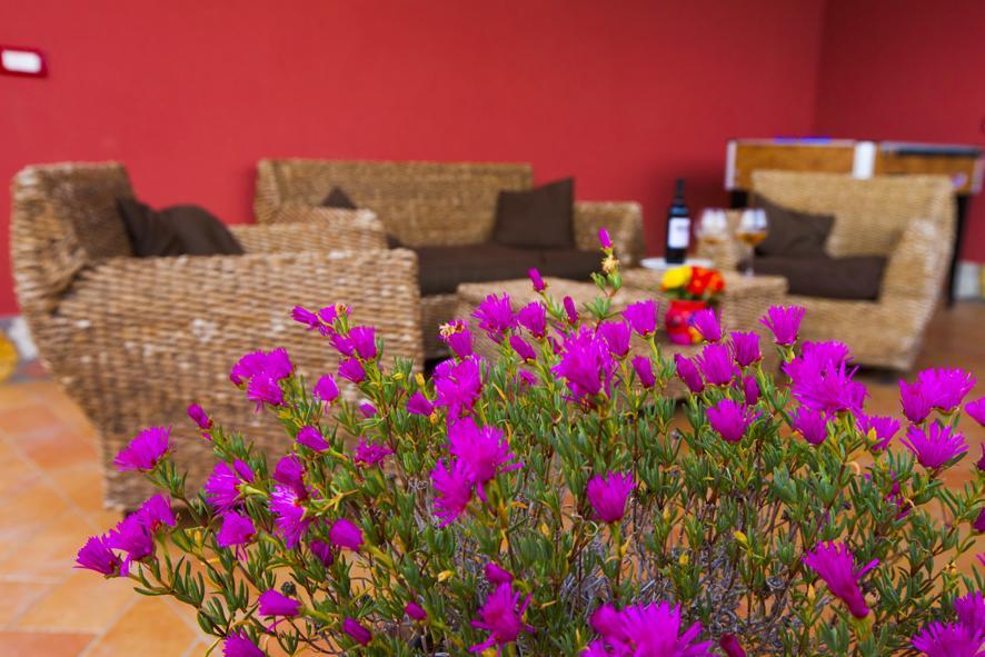パチェーコ Profumo Di Zagara Bed & Breakfast エクステリア 写真
